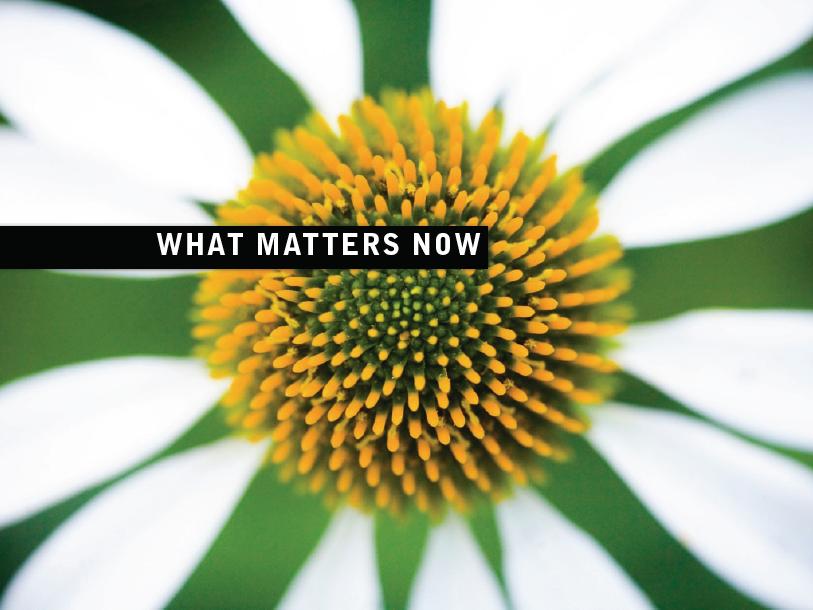 what-matters-now